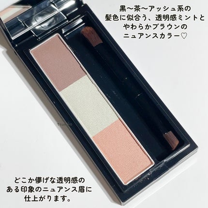 ヴィセ リシェ アイブロウパウダー BR-6 ニュアンスミント(限定)/Visée/パウダーアイブロウを使ったクチコミ(3枚目)