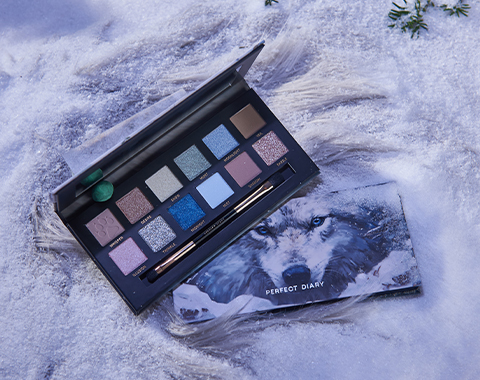 PERFECT DIARY アイシャドウパレット 限定カラー PERFECT DIARY (パーフェクトダイアリー) エクスプローラ 12色