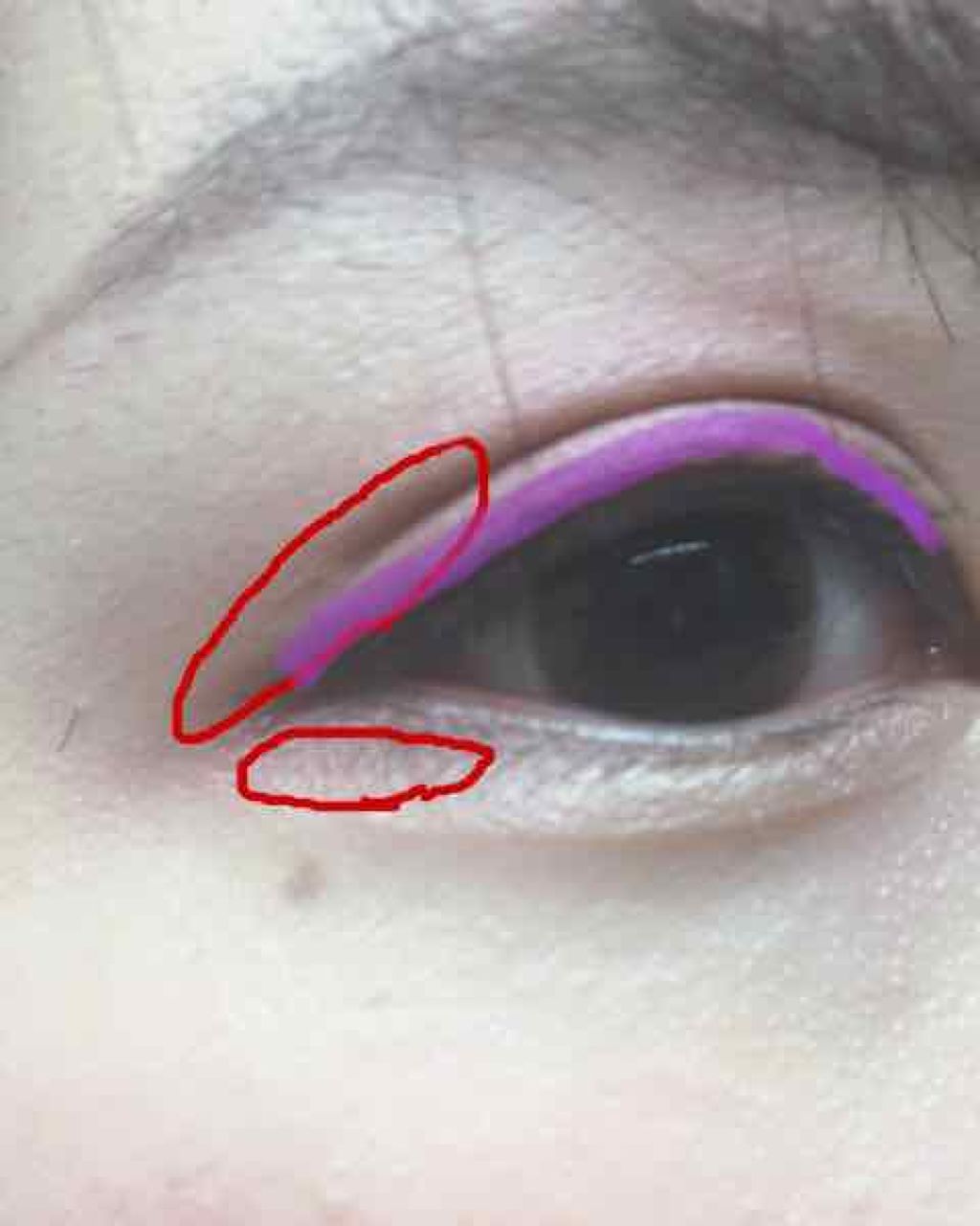 【旧品】パーフェクトスタイリストアイズ/キャンメイク/アイシャドウパレットを使ったクチコミ(2枚目)