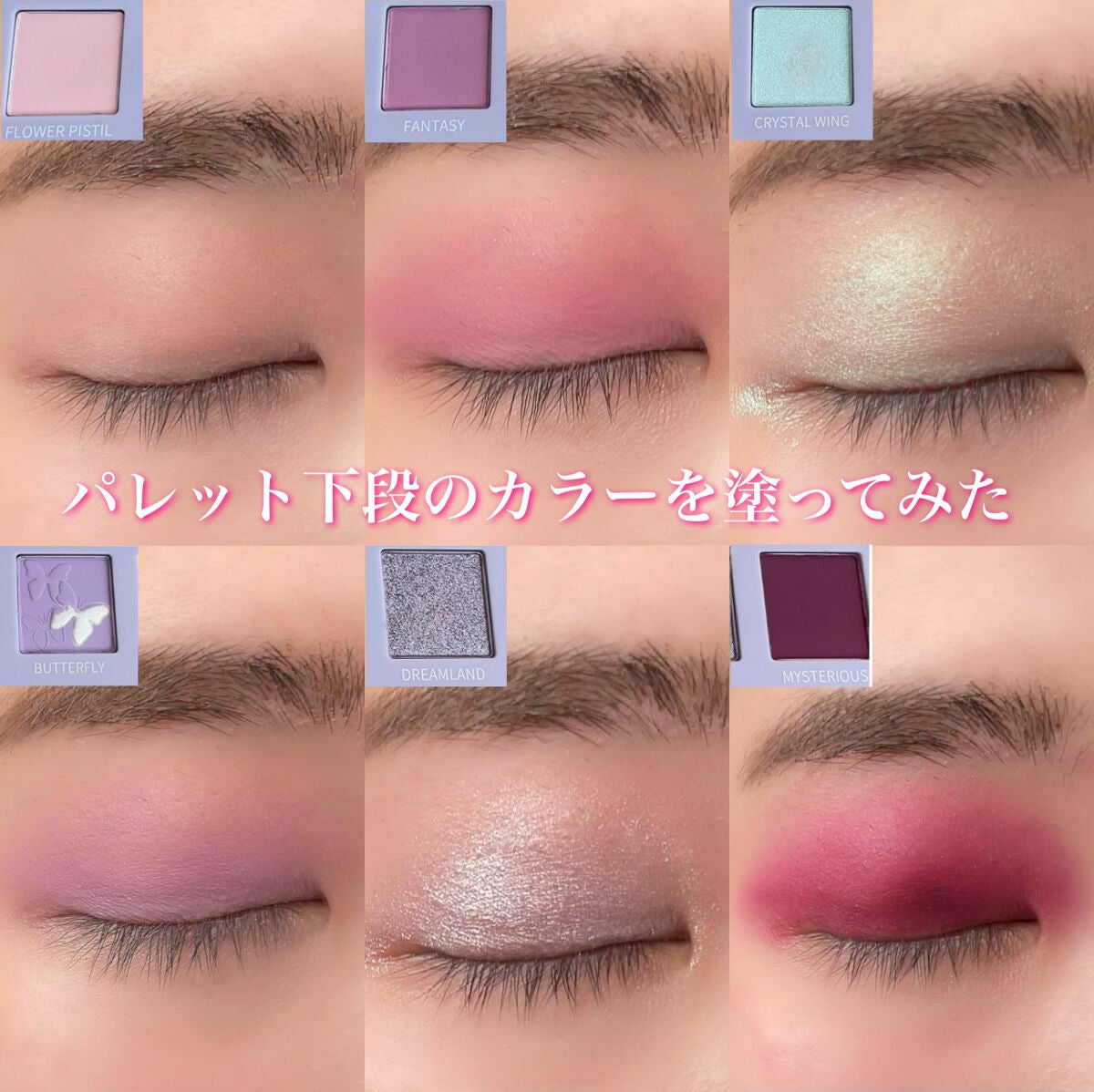 エクスプローラ12色 動物アイシャドウパレット/PERFECT DIARY/アイシャドウパレットを使ったクチコミ(6枚目)