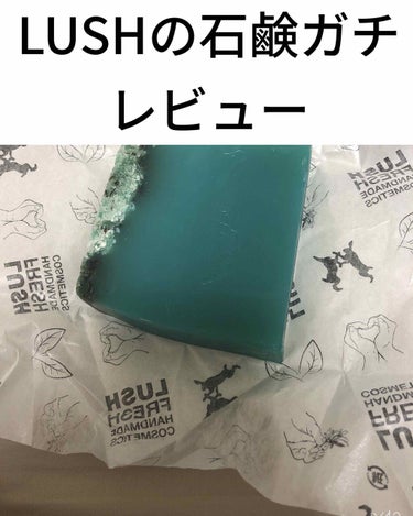 【LUSH シーベジタブル】

私は最近LUSHの石鹸で洗顔しているのですが、前回ボヘミアン（レモンの香りがするやつ）を使ってすごくよかったので今回は違うのを試してみたいと思って、シーベジタブルを買って