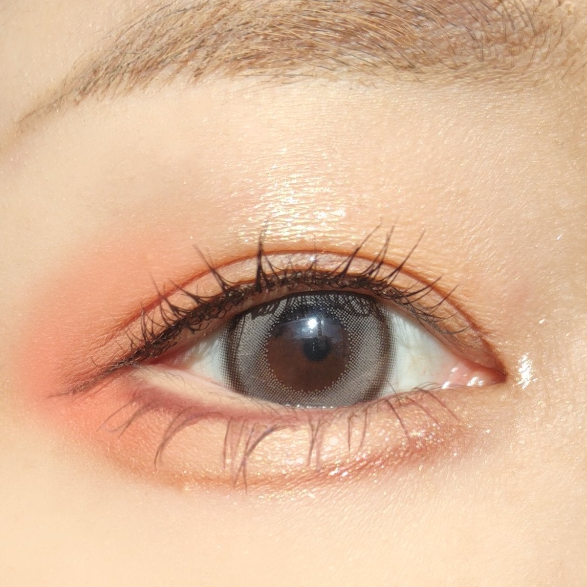 女王のカメオマルチパレット /COLORROSE/マルチパレットを使ったクチコミ(2枚目)