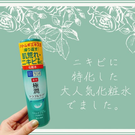 薬用 極潤 スキンコンディショナー/肌ラボ/化粧水を使ったクチコミ(1枚目)