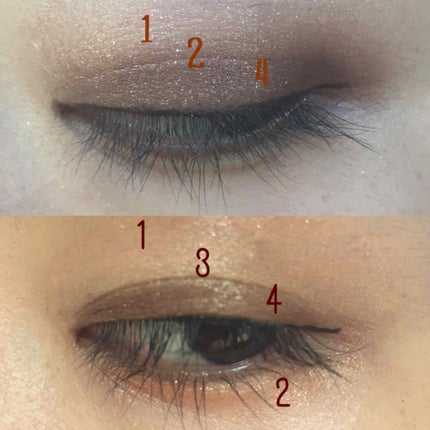 リアルクローズシャドウ/excel/アイシャドウパレットを使ったクチコミ(4枚目)