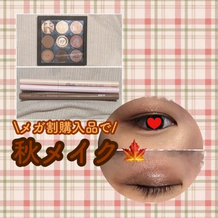 ラストオート ジェルアイライナー 14 アーモンドベージュ/BBIA/ジェルアイライナーを使ったクチコミ(1枚目)