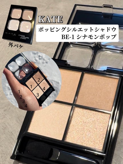 ケイト ポッピングシルエットシャドウ/KATE/アイシャドウパレットを使ったクチコミ(3枚目)