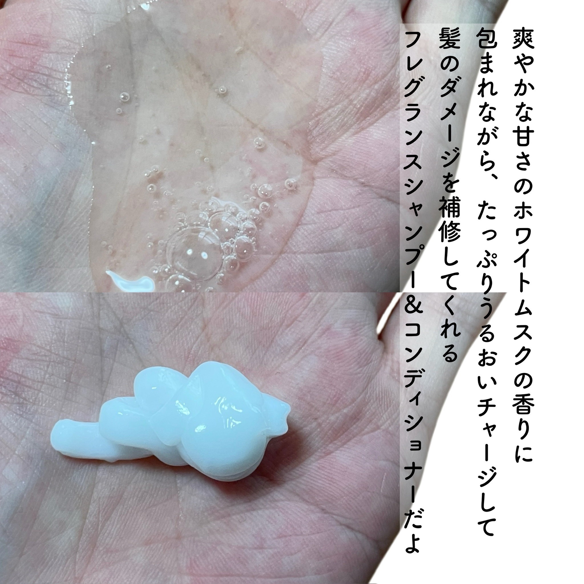 ホワイトムスク シャンプー／コンディショナー/John's Blend/市販シャンプーを使ったクチコミ（3枚目）