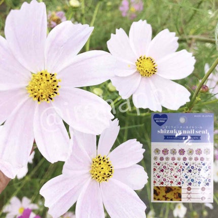 プレイネイル #108(生産終了)/ETUDE/マニキュアの画像