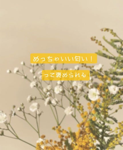 サボン オードパルファン/SHIRO/香水(レディース)を使ったクチコミ(1枚目)