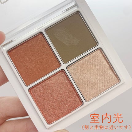 THE アイパレR 101 気ままのオレンジカーキ【旧】/b idol/アイシャドウパレットを使ったクチコミ(3枚目)