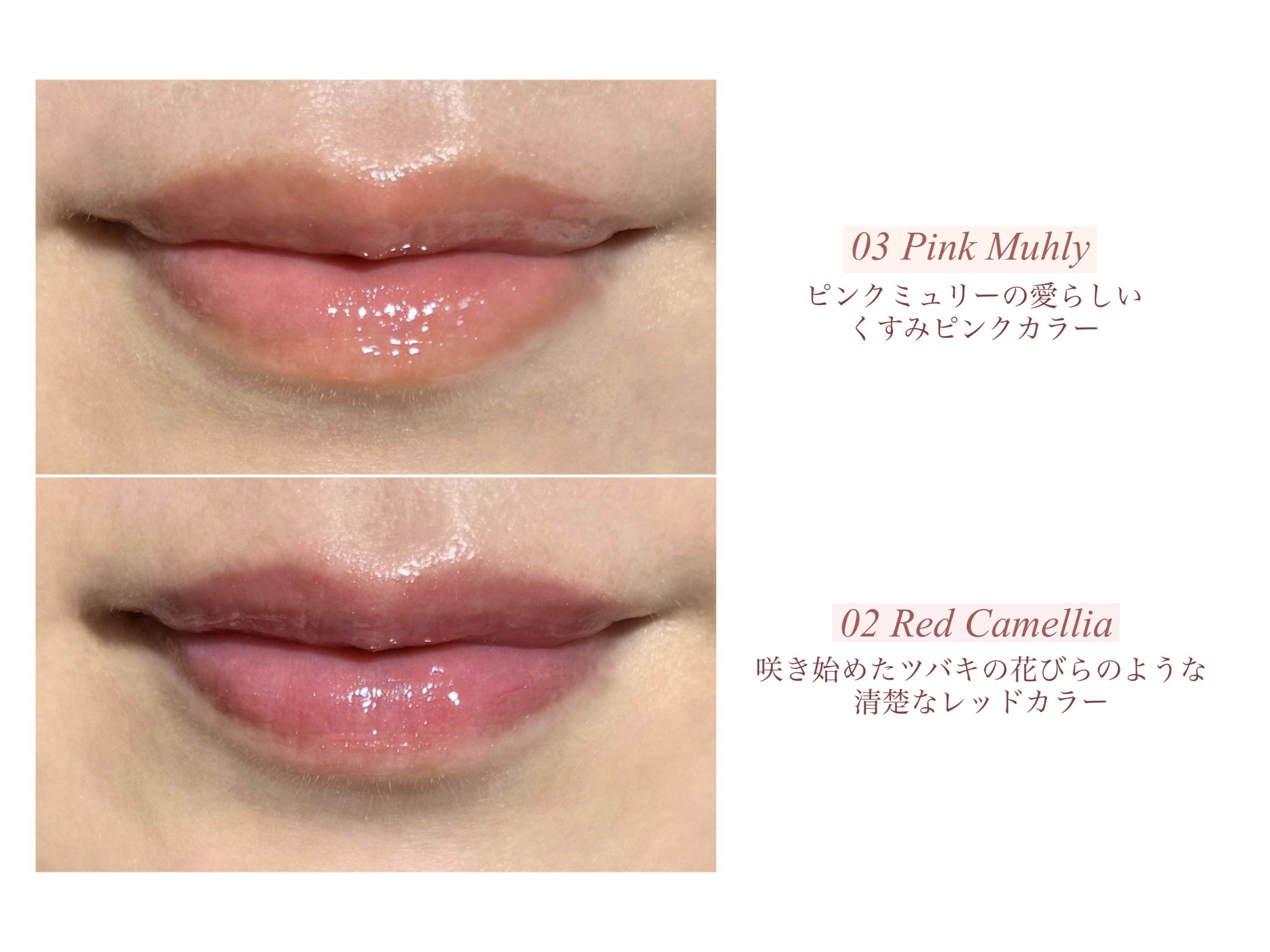 ナチュラルブルームリップオイルセラム 3色セット/PINATE/リップグロスを使ったクチコミ（2枚目）