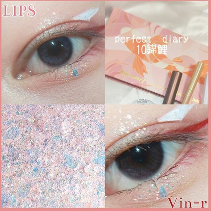 エクスプローラ12色 動物アイシャドウパレット/PERFECT DIARY/アイシャドウパレットを使ったクチコミ(2枚目)