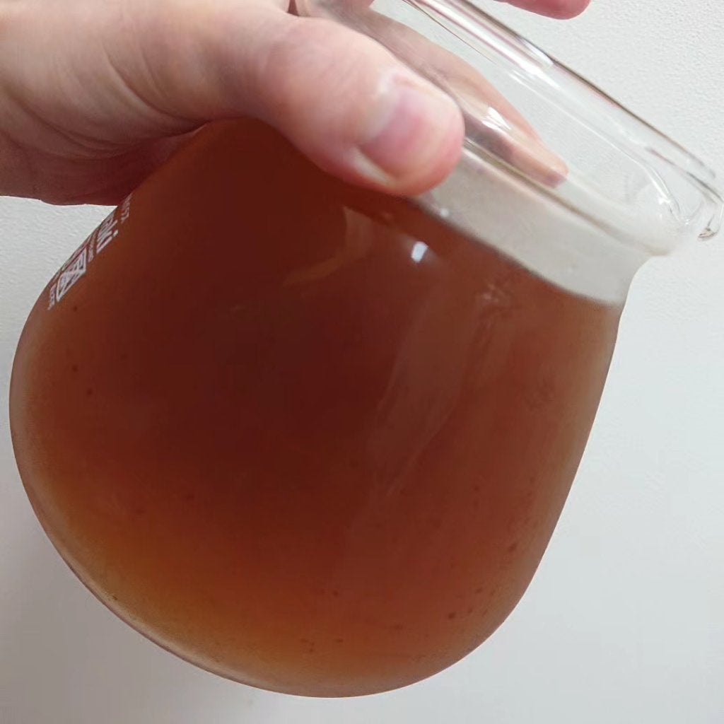 美爽煌茶・黒/フレージュ/ドリンクを使ったクチコミ(5枚目)