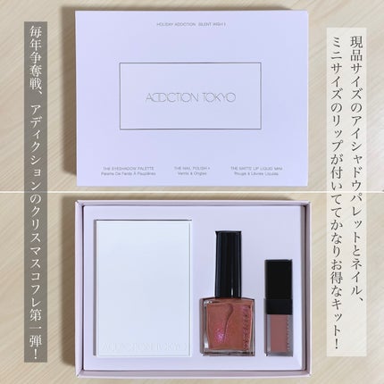 ホリデー アディクション サイレント ウィッシュⅡ /ADDICTION/メイクアップキットを使ったクチコミ(3枚目)
