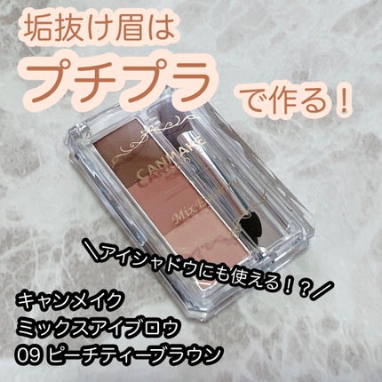 ミックスアイブロウ/キャンメイク/パウダーアイブロウを使ったクチコミ(1枚目)