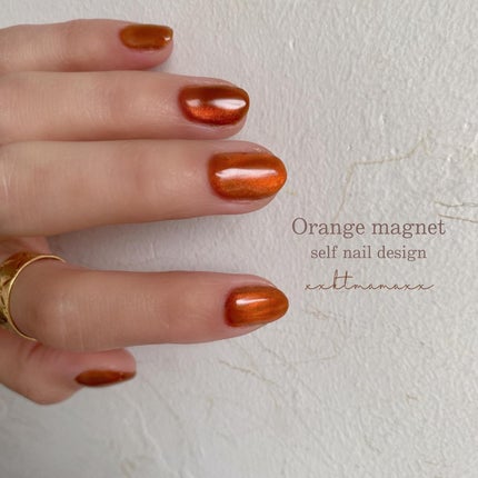 マグネットジェル Prismシリーズ/NAILTOWN/ジェルネイルを使ったクチコミ(1枚目)