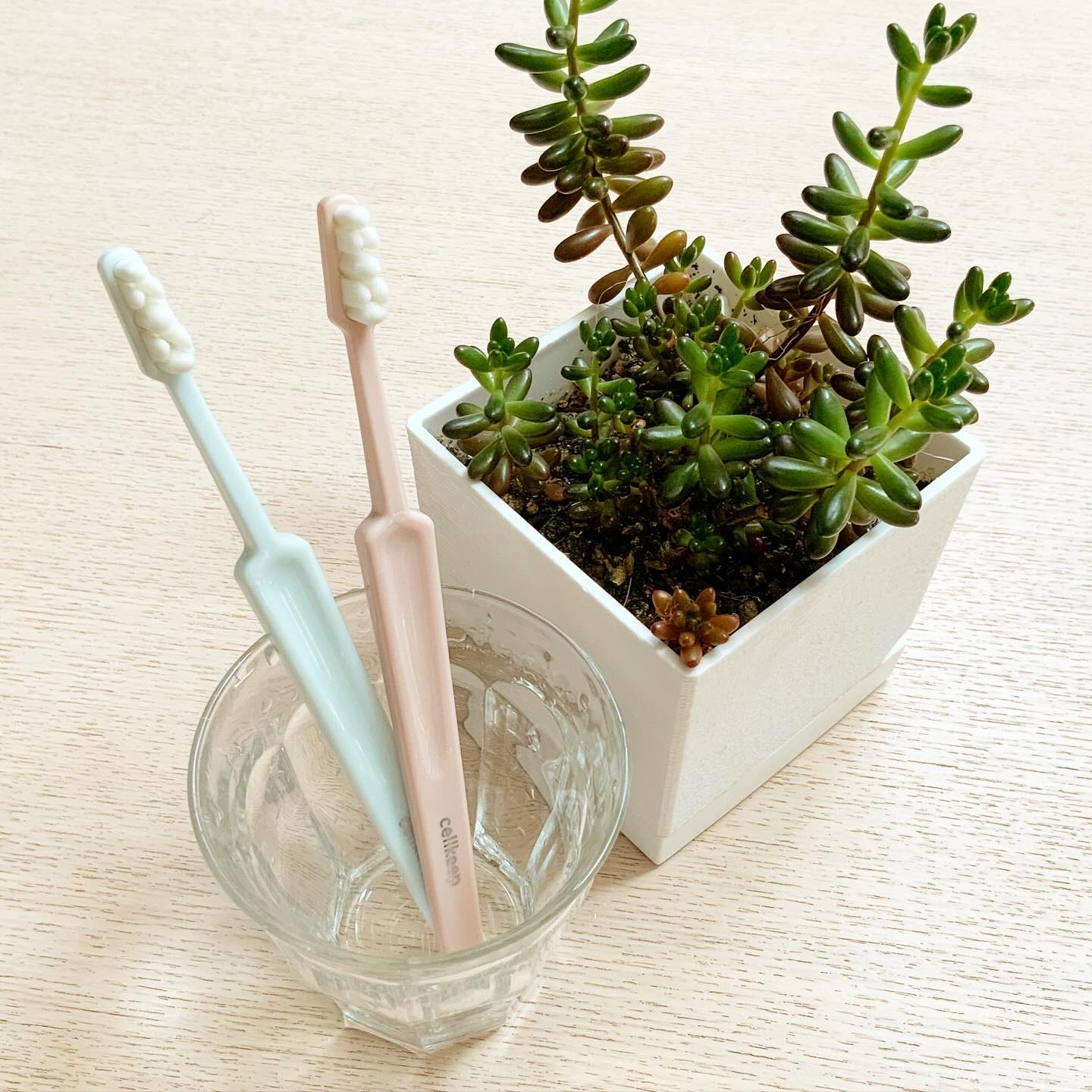 CELL KEEP セルキープ/セラ/歯ブラシを使ったクチコミ（1枚目）