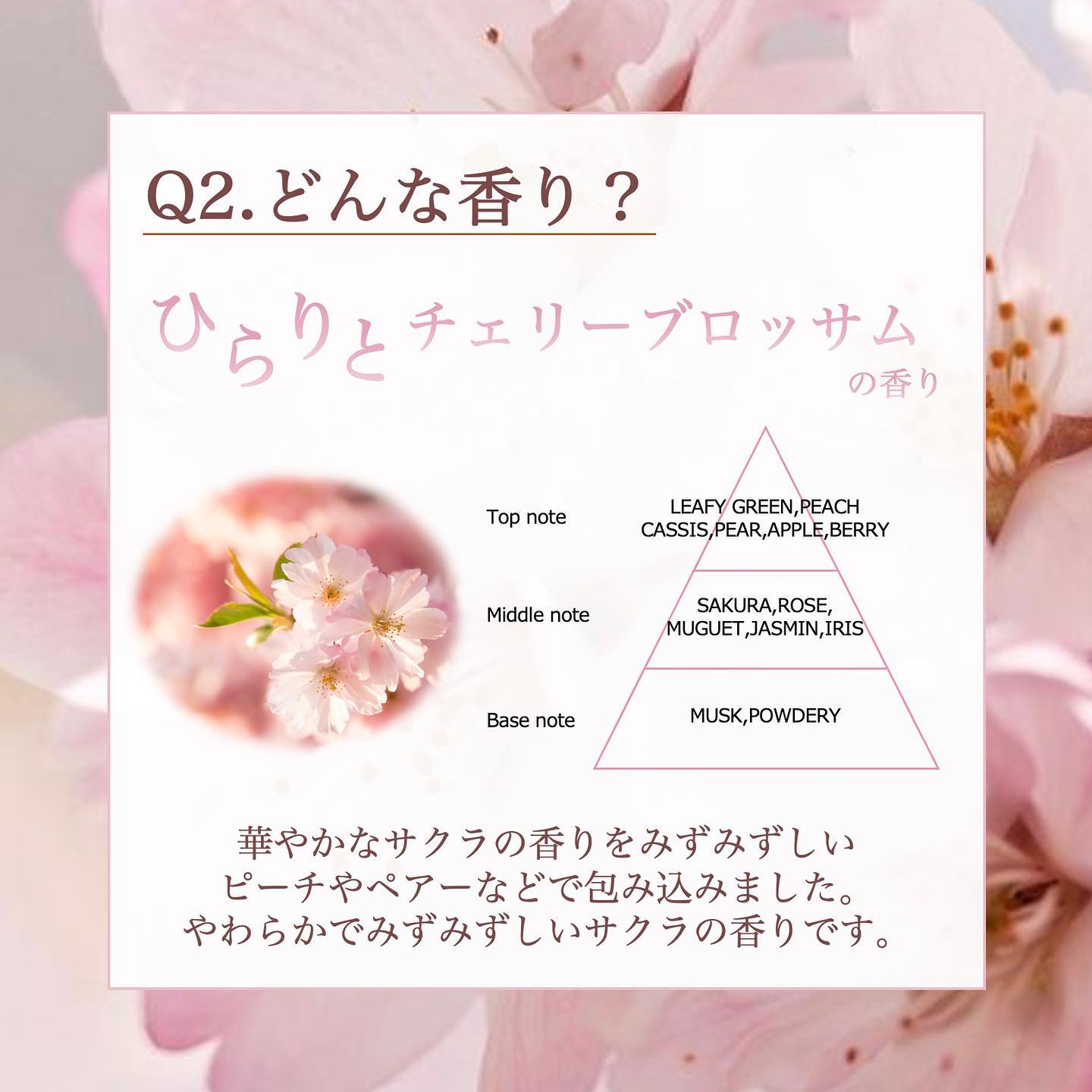 プルント　コントロール美容液ヘアオイル　サクラ  80mL/Purunt./ヘアオイルを使ったクチコミ（3枚目）