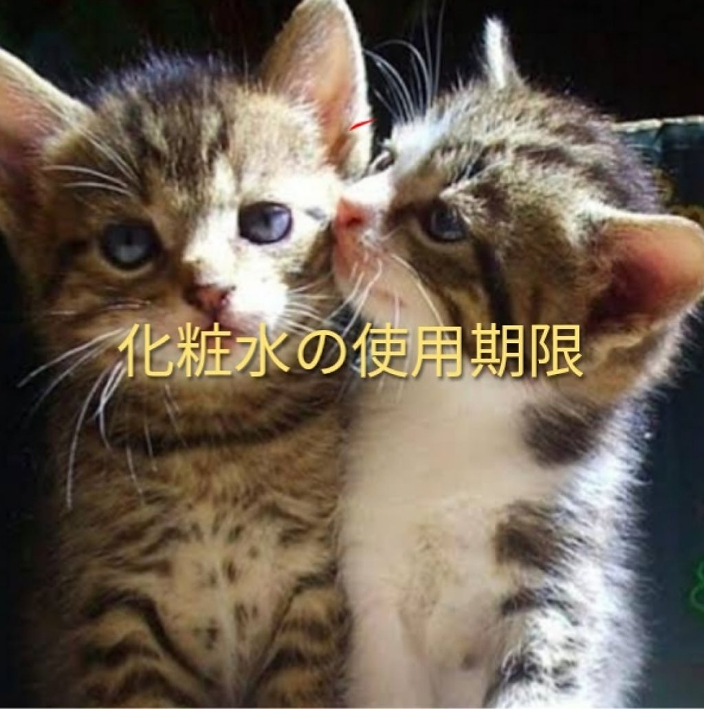 ハトムギ化粧水(ナチュリエ スキンコンディショナー R )/ナチュリエ/化粧水を使ったクチコミ（1枚目）