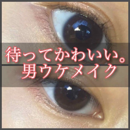 【旧品】パーフェクトスタイリストアイズ/キャンメイク/アイシャドウパレットを使ったクチコミ(1枚目)