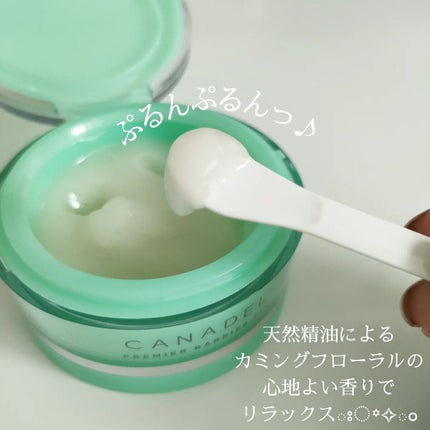 プレミアバリアフィックス /CANADEL/オールインワン化粧品を使ったクチコミ(1枚目)