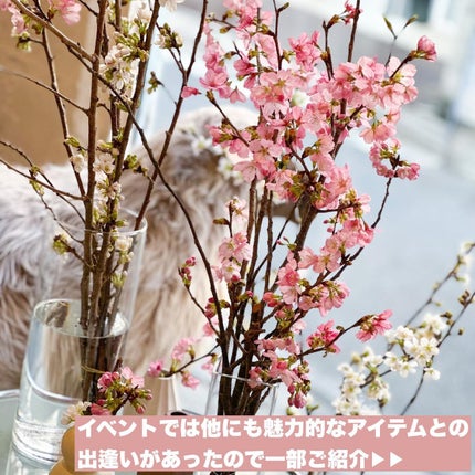 Riho | 集英社MAQUIAエキスパート on LIPS 「MERYMEETSイベントレポ🐏✨@mery.jpのイベントに..」(4枚目)