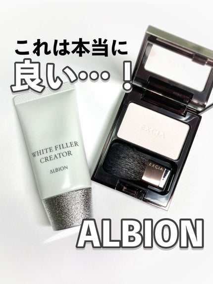 アルビオン ホワイトフィラー クリエイター/ALBION/化粧下地を使ったクチコミ(1枚目)