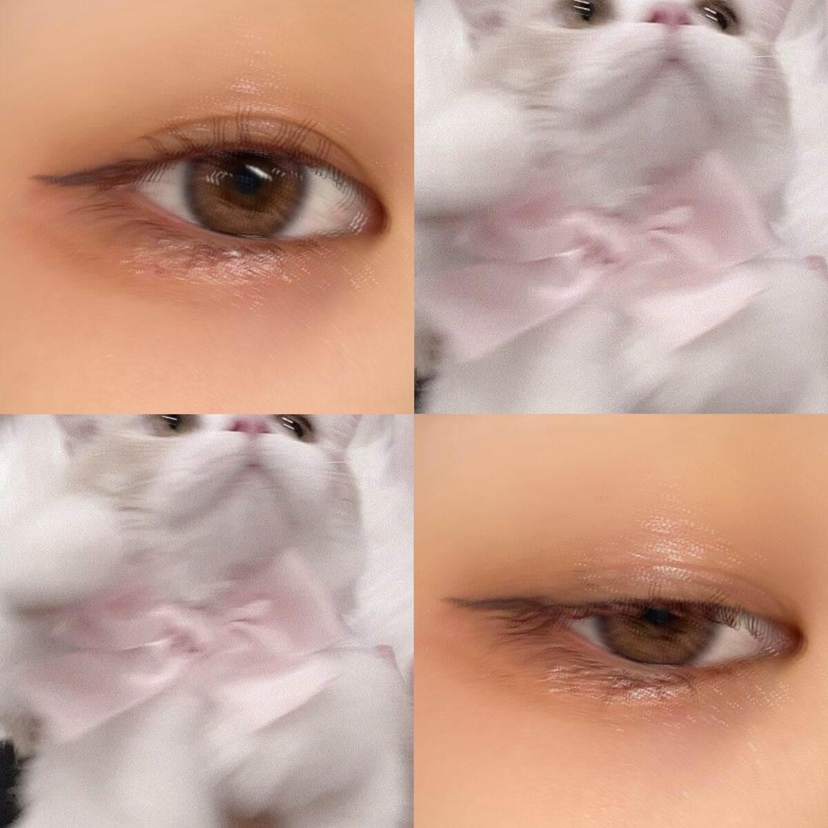 クイックラッシュカーラー/キャンメイク/マスカラ下地を使ったクチコミ(4枚目)