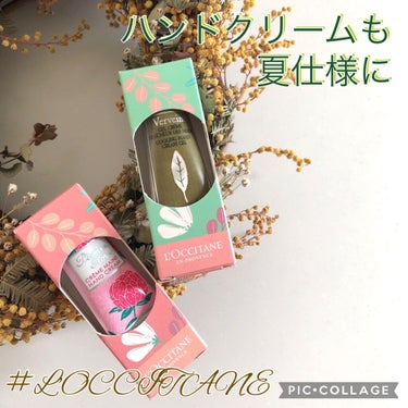 ヴァーベナ アイスハンドクリーム/L'OCCITANE/ハンドクリームを使ったクチコミ（1枚目）