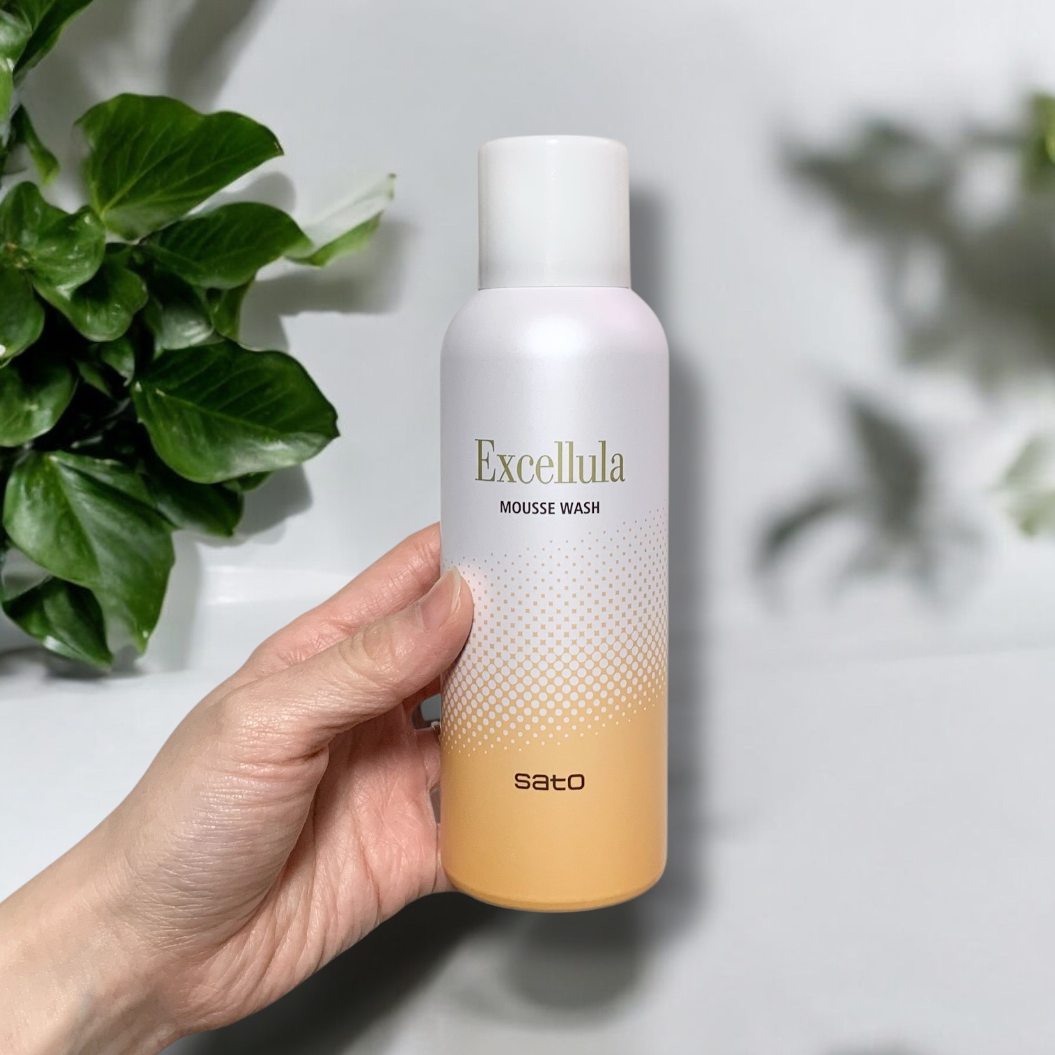 エクセルーラ ムースウォッシュ/Excellula/洗顔フォームを使ったクチコミ（1枚目）