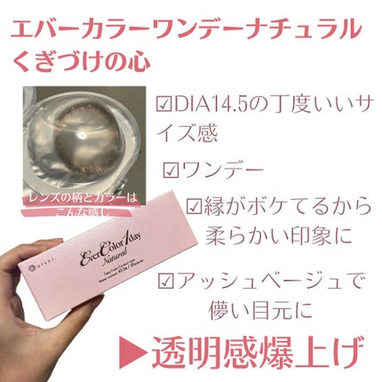 エバーカラーワンデー ナチュラル/エバーカラー/ワンデー(1DAY)カラコンを使ったクチコミ(2枚目)