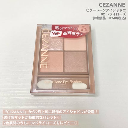 ビタートーンアイシャドウ/CEZANNE/パウダーアイシャドウを使ったクチコミ(2枚目)
