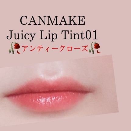 ジューシーリップティント/キャンメイク/口紅を使ったクチコミ(1枚目)