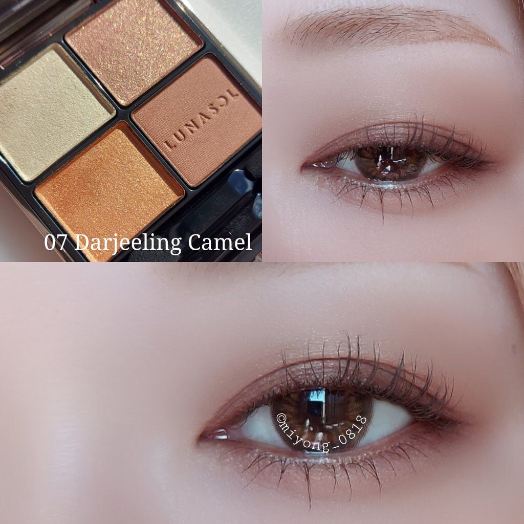 アイカラーレーション/LUNASOL/アイシャドウパレットを使ったクチコミ(2枚目)