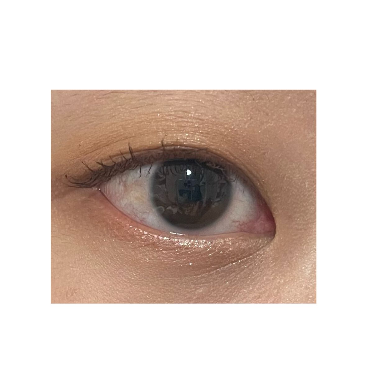 アイカラーパレット/heme/アイシャドウパレットを使ったクチコミ(3枚目)