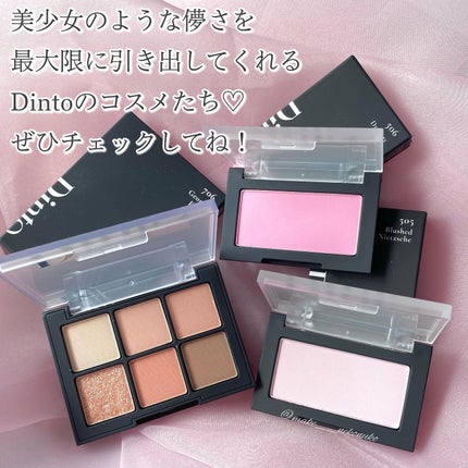 ブラーフィニシュシャドウパレット/Dinto/アイシャドウパレットを使ったクチコミ(8枚目)