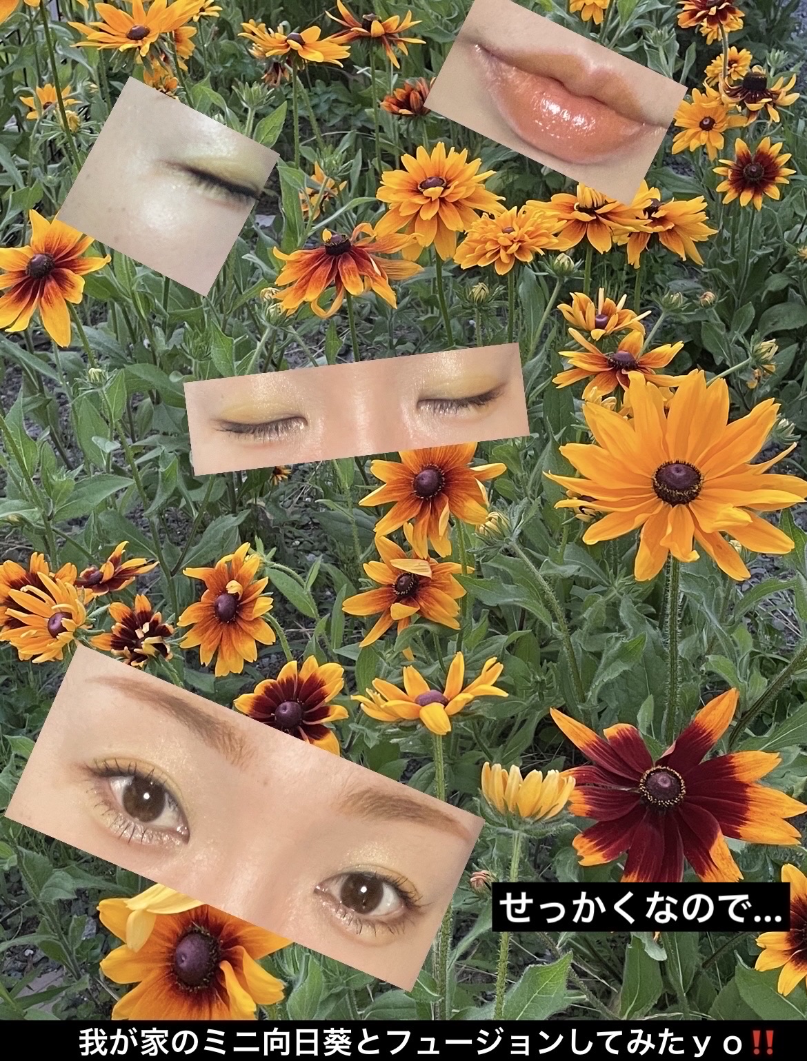 バブアイカラーパレット 02 ショコラカヌレ/minum/アイシャドウパレットを使ったクチコミ（2枚目）