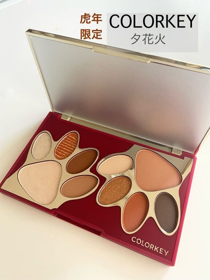 トラ十色アイシャドウパレット/COLORKEY/アイシャドウパレットを使ったクチコミ(1枚目)