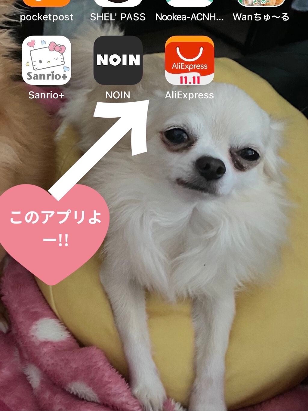 WATER LIGHT LIP GLOSS/DAIMANPU/リップグロスを使ったクチコミ(7枚目)