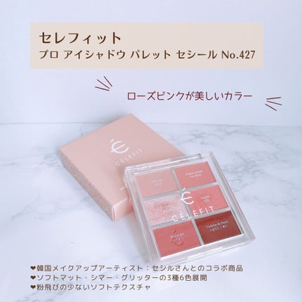 プロアイシャドウパレットセシル/CELEFIT/アイシャドウパレットを使ったクチコミ(2枚目)