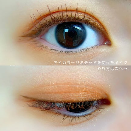 アイカラー リミテッド/PAUL & JOE BEAUTE/アイシャドウパレットを使ったクチコミ(4枚目)