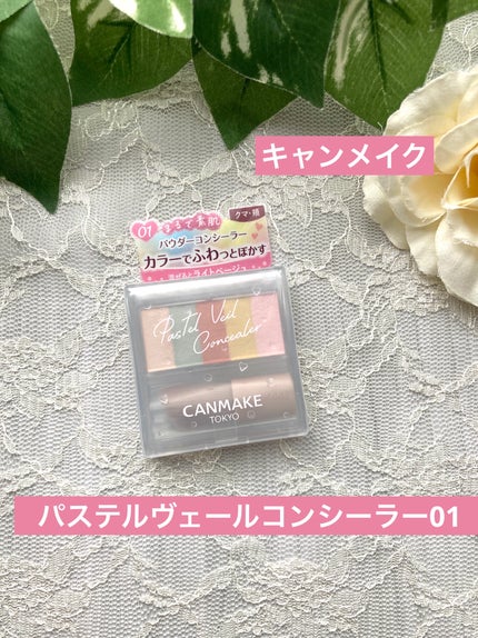 パステルヴェールコンシーラー/キャンメイク/パレットコンシーラーを使ったクチコミ(1枚目)