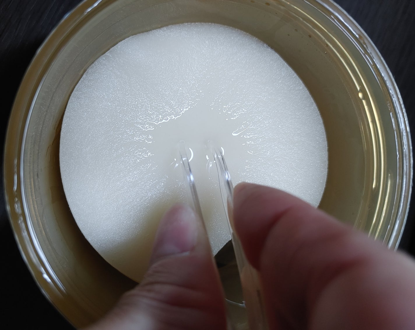 センテラ クイックカーミングパッド/SKIN1004/トナーパッドを使ったクチコミ(2枚目)