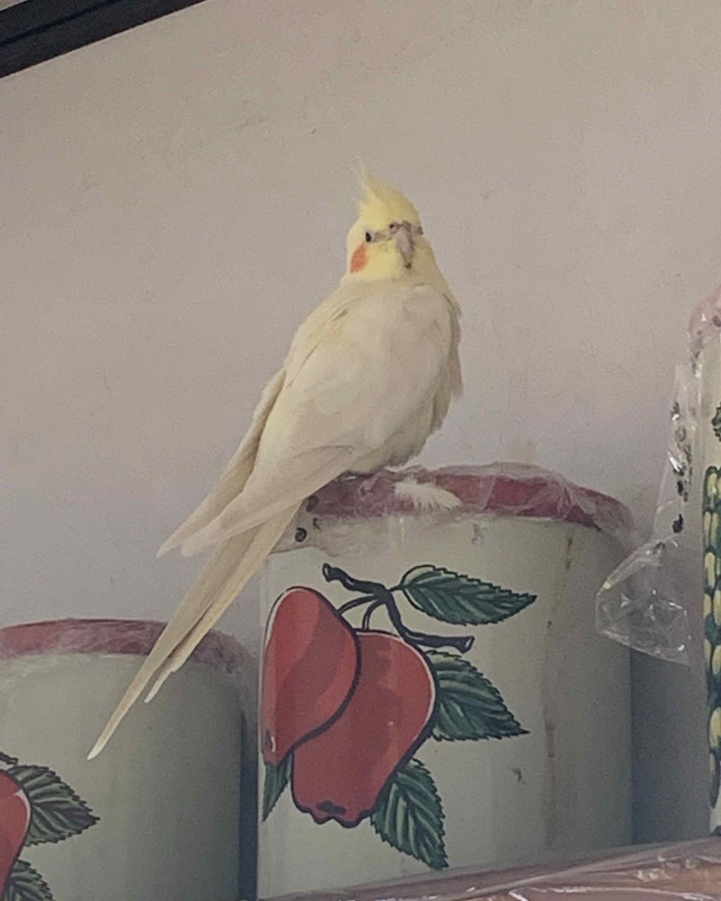 パーフェクトマルチアイズ/キャンメイク/アイシャドウパレットを使ったクチコミ（2枚目）