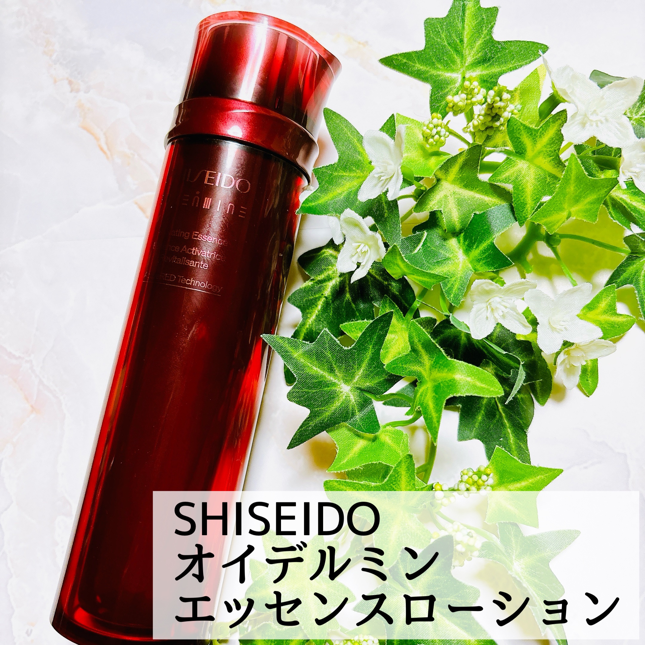 SHISEIDO様よりいただきました。

☑︎SHISEIDO
オイデルミン エッセンスローション
本体145ml

こちらはSHISEIDOの名品化粧水、オイデルミン エッセンスローション💁‍♀️
なんとオイルデミンは資生堂が1897年