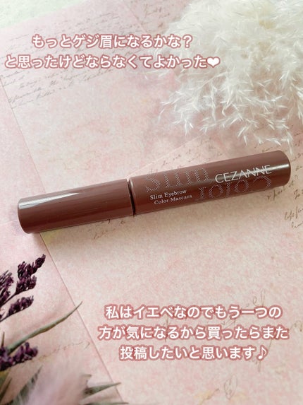 ごんす@YouTube始めました on LIPS 「《セザンヌ アイブロウマスカラ》#キャンペーンのプレゼントの中..」(6枚目)