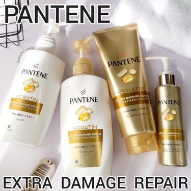 するんとなめらか髪へ

PANTENE
エクストラ ダメージ リペア
 ・ シャンプー
 ・ コンディショナー
 ・ 洗い流すトリートメント
 ・ インテンシブ ヴィタミルク

【 #モニター #提供 