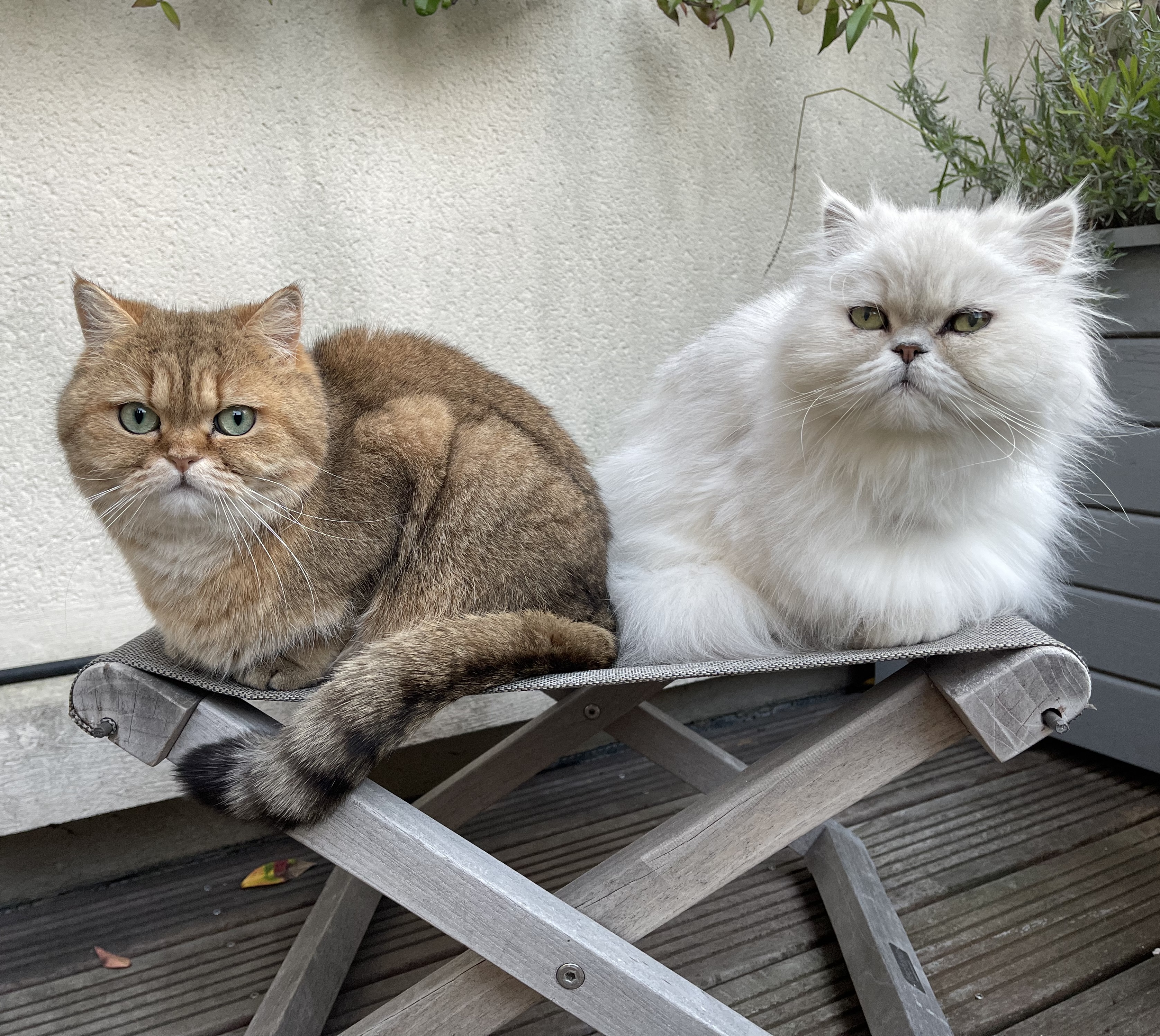 リップスティック トリートメント/PAUL & JOE BEAUTE/リップケアを使ったクチコミ（2枚目）