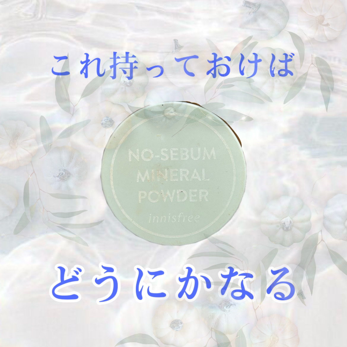 ノーセバム　ミネラルパウダー　N 5g【旧】/innisfree/ルースパウダーを使ったクチコミ（1枚目）