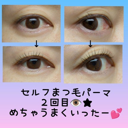 ã¡ããð«ãã©ãã100 on LIPS ãSHEINã§512åã§è²·ã£ããããããã£ã¡ã䜿ããããã£ããŒâš..ãïŒ8æç®ïŒ